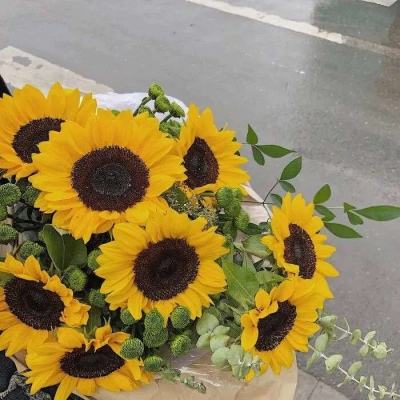 爱游戏全站APP在线平台