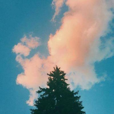 开云·kaiyun体育app下载截图