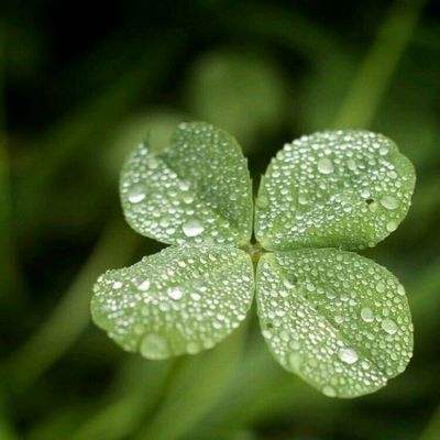 爱游戏ayx手机版登录入口